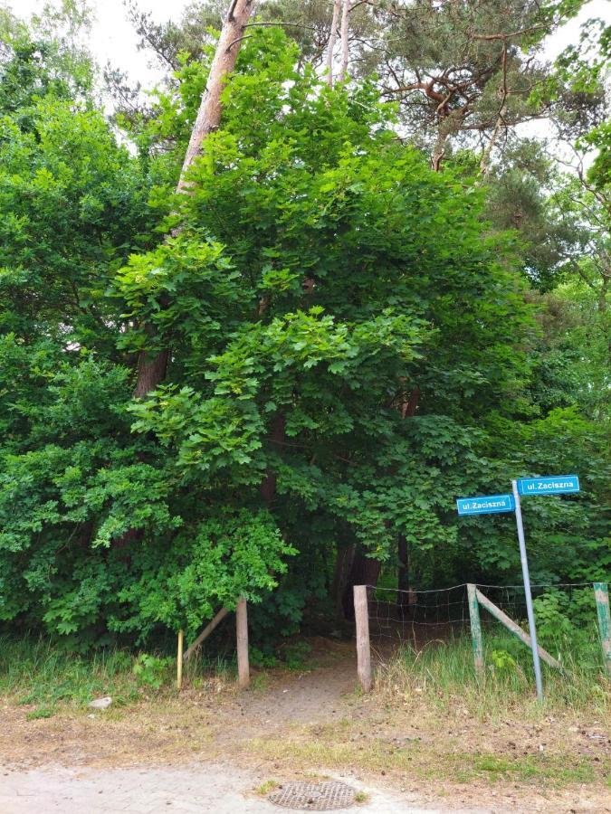 Apartament Alicja Miedzywodzie Bagian luar foto